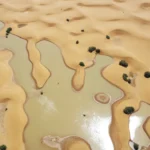 The Sahara Desert flooded for the first time in decades. Here’s what it looks like. CNN NEWS